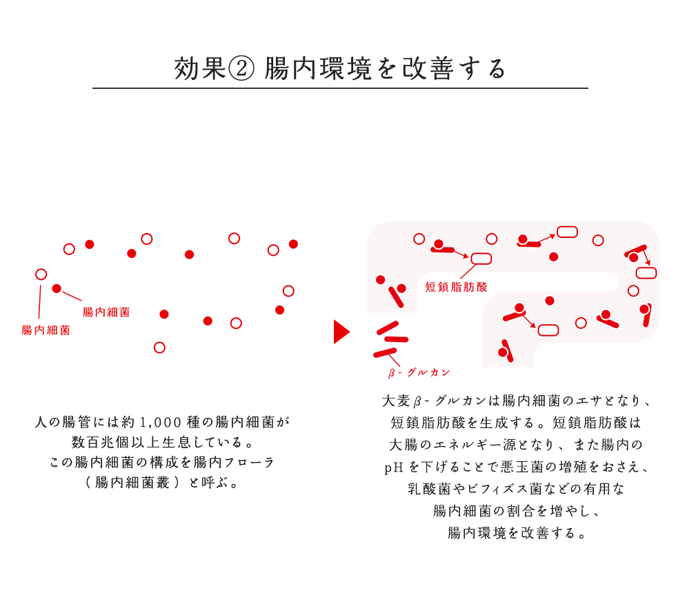 大麦β-グルカンが胆汁酸と結合して、いっしょに体外に排出されることで、コレステロール値を下げる働きをする。