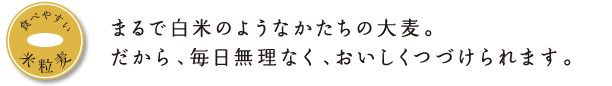 まるで白米のようなかたちの大麦。だから、毎日無理なく、おいしくつづけられます。
