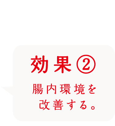 効果2 腸内環境を改善する。